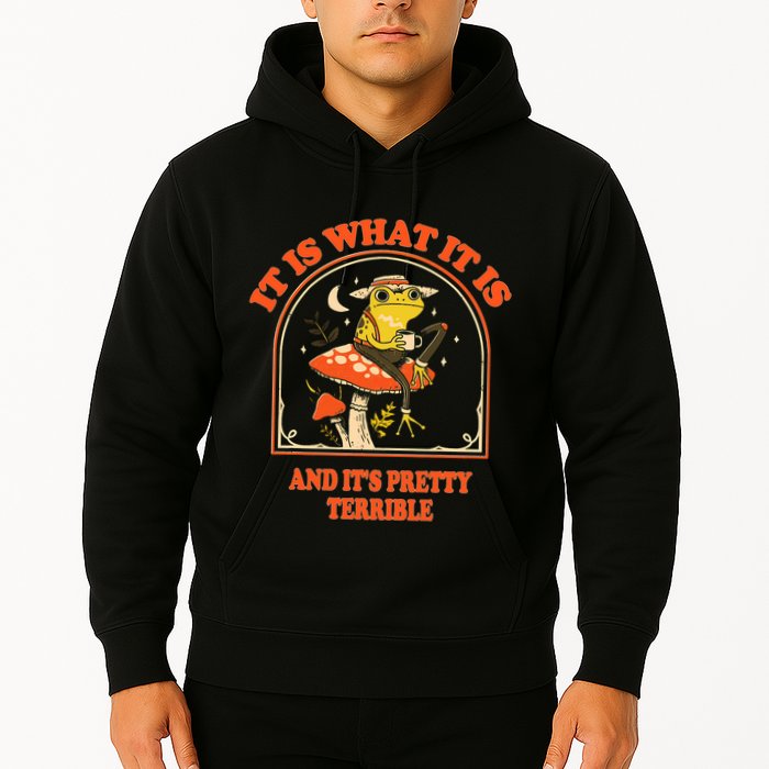 It Is What It Is And ItS Pretty Terrible Funny Design Hoodie