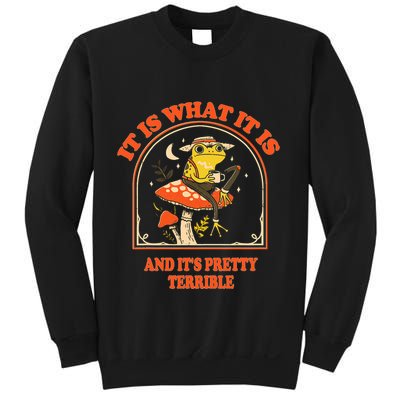 It Is What It Is And ItS Pretty Terrible Funny Design Sweatshirt