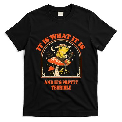 It Is What It Is And ItS Pretty Terrible Funny Design T-Shirt