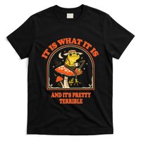 It Is What It Is And ItS Pretty Terrible Funny Design T-Shirt
