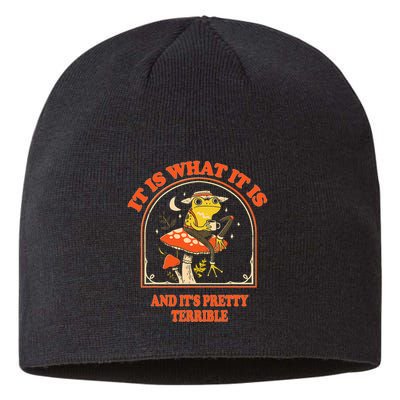 It Is What It Is And ItS Pretty Terrible Funny Design Sustainable Beanie