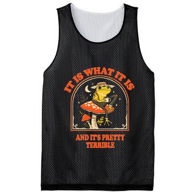 It Is What It Is And ItS Pretty Terrible Funny Design Mesh Reversible Basketball Jersey Tank