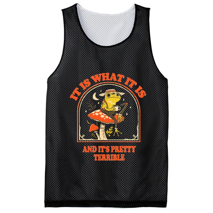 It Is What It Is And ItS Pretty Terrible Funny Design Mesh Reversible Basketball Jersey Tank