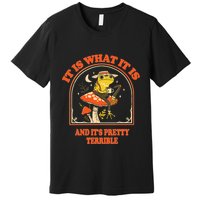 It Is What It Is And ItS Pretty Terrible Funny Design Premium T-Shirt