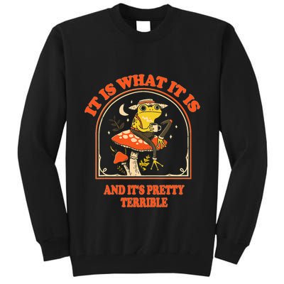 It Is What It Is And ItS Pretty Terrible Funny Design Tall Sweatshirt