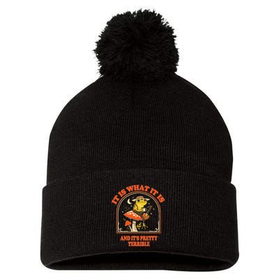It Is What It Is And ItS Pretty Terrible Funny Design Pom Pom 12in Knit Beanie