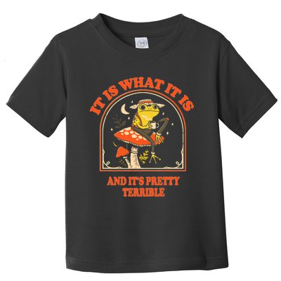 It Is What It Is And ItS Pretty Terrible Funny Design Toddler T-Shirt