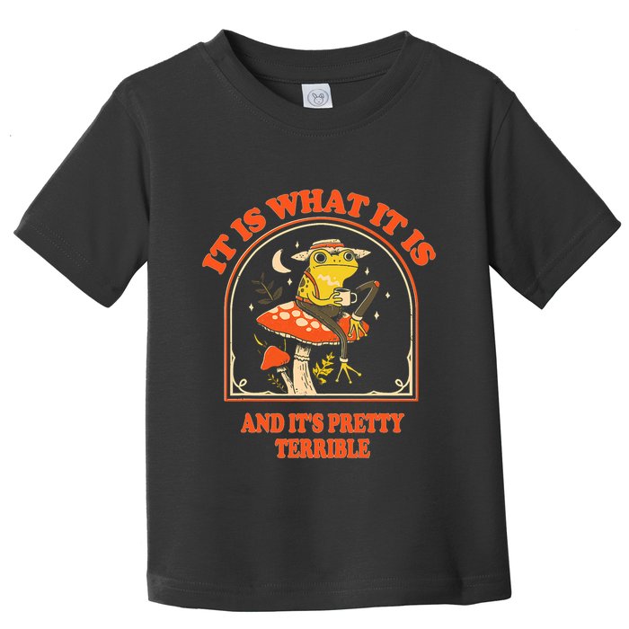 It Is What It Is And ItS Pretty Terrible Funny Design Toddler T-Shirt