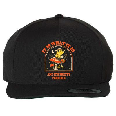 It Is What It Is And ItS Pretty Terrible Funny Design Wool Snapback Cap