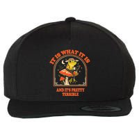 It Is What It Is And ItS Pretty Terrible Funny Design Wool Snapback Cap