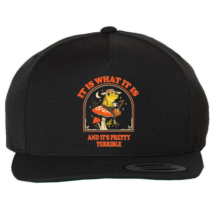 It Is What It Is And ItS Pretty Terrible Funny Design Wool Snapback Cap