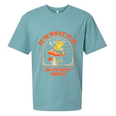 It Is What It Is And ItS Pretty Terrible Funny Design Sueded Cloud Jersey T-Shirt