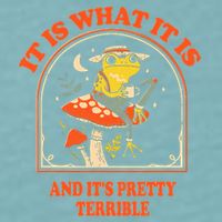 It Is What It Is And ItS Pretty Terrible Funny Design Sueded Cloud Jersey T-Shirt