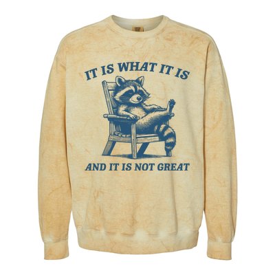 It Is What It Is And It Is Not Great Racoon Meme Colorblast Crewneck Sweatshirt