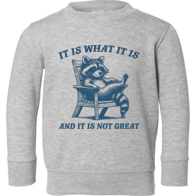 It Is What It Is And It Is Not Great Racoon Meme Toddler Sweatshirt