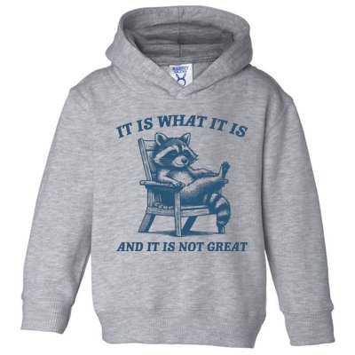 It Is What It Is And It Is Not Great Racoon Meme Toddler Hoodie