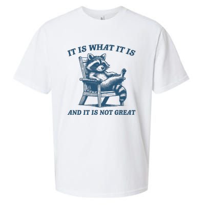 It Is What It Is And It Is Not Great Racoon Meme Sueded Cloud Jersey T-Shirt