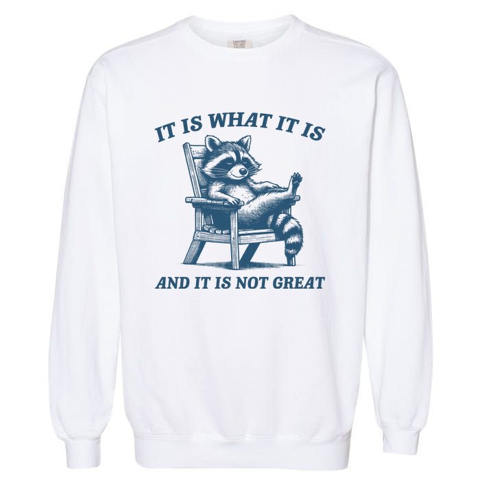 It Is What It Is And It Is Not Great Racoon Meme Garment-Dyed Sweatshirt