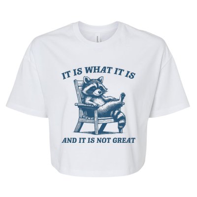 It Is What It Is And It Is Not Great Racoon Meme Bella+Canvas Jersey Crop Tee