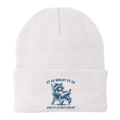 It Is What It Is And It Is Not Great Racoon Meme Knit Cap Winter Beanie