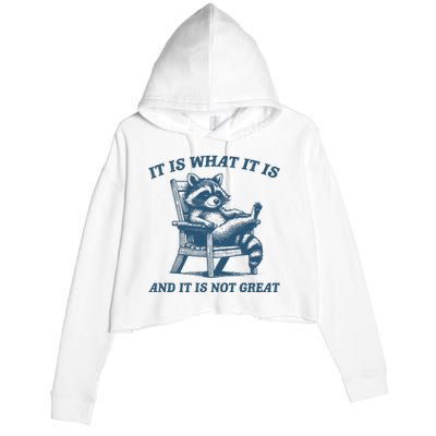 It Is What It Is And It Is Not Great Racoon Meme Crop Fleece Hoodie