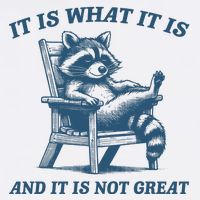 It Is What It Is And It Is Not Great Racoon Meme Trucker Hat