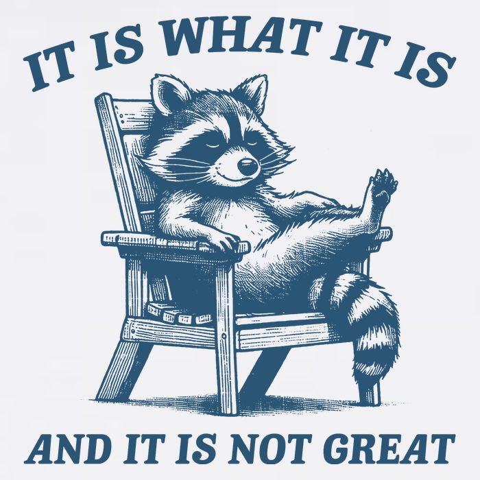 It Is What It Is And It Is Not Great Racoon Meme Trucker Hat