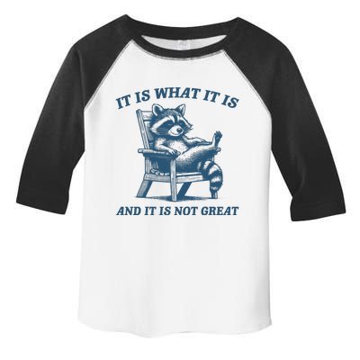 It Is What It Is And It Is Not Great Racoon Meme Toddler Fine Jersey T-Shirt