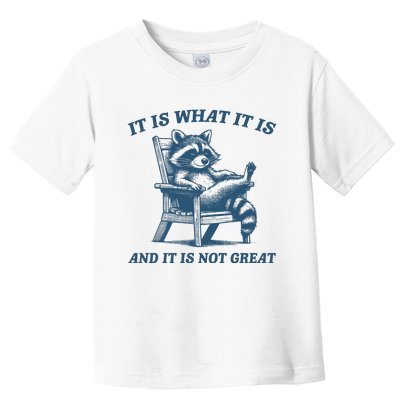 It Is What It Is And It Is Not Great Racoon Meme Toddler T-Shirt