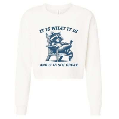 It Is What It Is And It Is Not Great Racoon Meme Cropped Pullover Crew