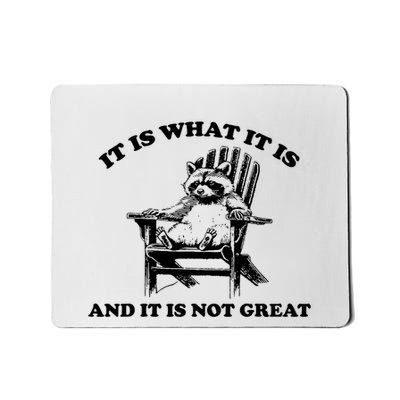 It Is What It Is And It Is Not Great Raccoon Mousepad