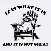 It Is What It Is And It Is Not Great Raccoon Trucker Hat