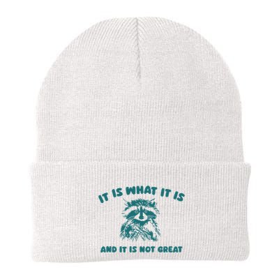 It Is What It Is And It Is Not Great Knit Cap Winter Beanie