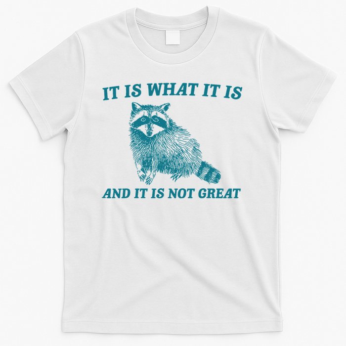 It Is What It Is And It Is Not Great Raccoon T-Shirt