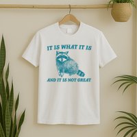 It Is What It Is And It Is Not Great Raccoon T-Shirt