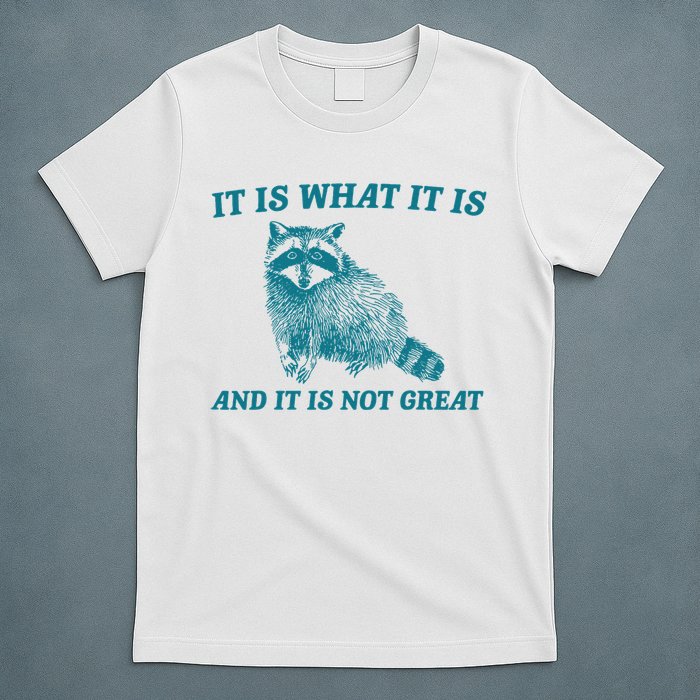 It Is What It Is And It Is Not Great Raccoon T-Shirt