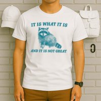 It Is What It Is And It Is Not Great Raccoon T-Shirt