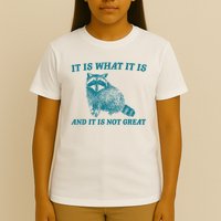 It Is What It Is And It Is Not Great Raccoon T-Shirt