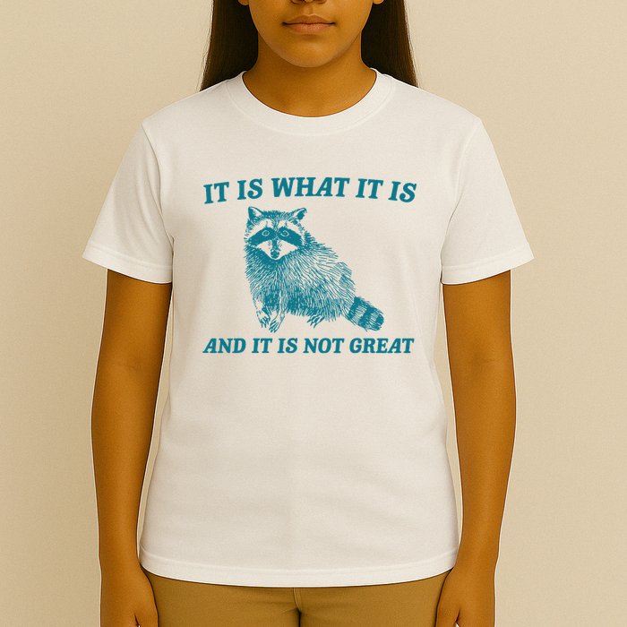 It Is What It Is And It Is Not Great Raccoon T-Shirt
