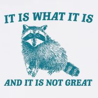 It Is What It Is And It Is Not Great Raccoon T-Shirt