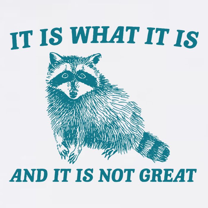 It Is What It Is And It Is Not Great Raccoon T-Shirt