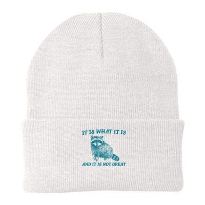 It Is What It Is And It Is Not Great Raccoon Knit Cap Winter Beanie
