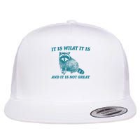 It Is What It Is And It Is Not Great Raccoon Flat Bill Trucker Hat
