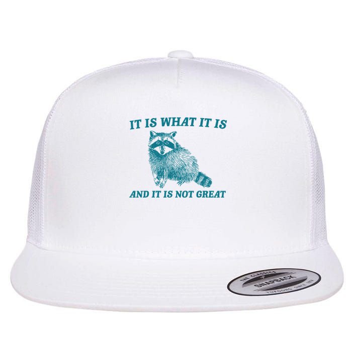It Is What It Is And It Is Not Great Raccoon Flat Bill Trucker Hat