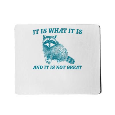 It Is What It Is And It Is Not Great Raccoon Mousepad