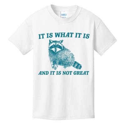 It Is What It Is And It Is Not Great Raccoon Kids T-Shirt