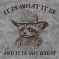 It Is What It Is And It Is Not Great Raccoon 7-Panel Snapback Hat