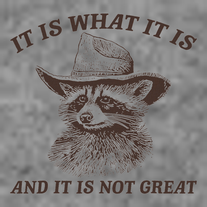 It Is What It Is And It Is Not Great Raccoon 7-Panel Snapback Hat