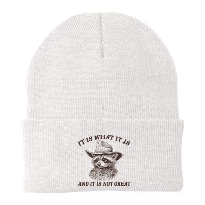 It Is What It Is And It Is Not Great Raccoon Knit Cap Winter Beanie