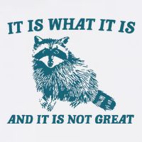 It Is What It Is And It Is Not Great Mental Health T-Shirt